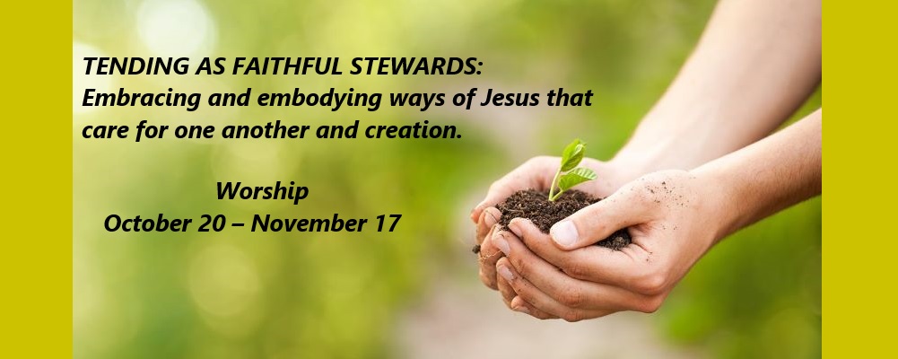 Stewardship Banner 2024